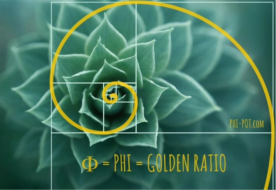 Golden ratio spiral based on PHI-number Golden ratio spiral based on PHI-number