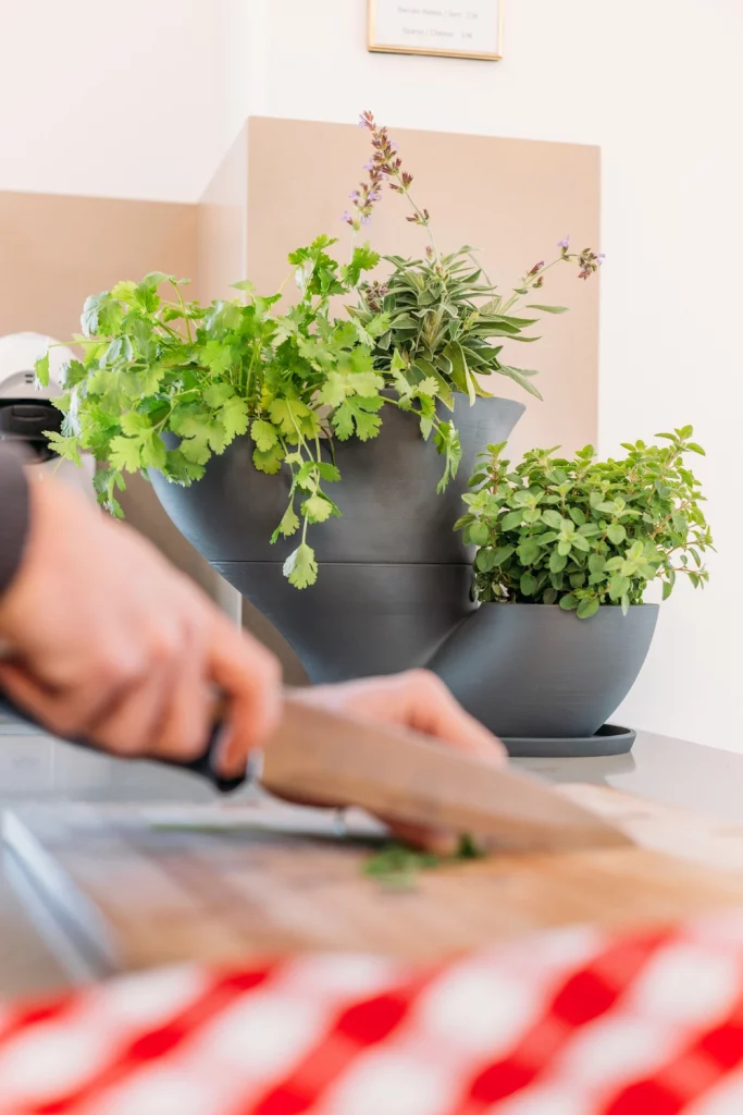 PHI-POT jardinería vertical para el cultivo de hierbas, plantas aromáticas, plantas medicinales, así como frutas y hortalizas de pequeño tamaño